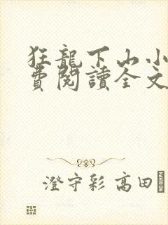 狂龙下山小说免费阅读全文