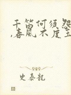 千笛何须怨杨柳,春风不度玉门关