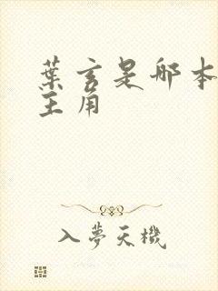 叶玄是哪本小说主角