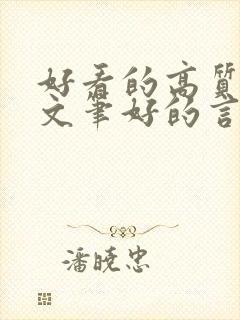 好看的高质量的文笔好的言情