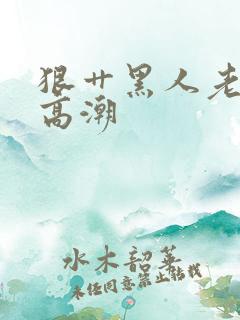 狠艹黑人老女人高潮