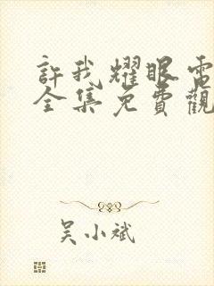 许我耀眼电视剧全集免费观看20集高清