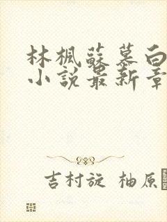 林枫苏慕白穿越小说最新章节更新内容