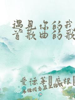 遇见你的我是哪首歌曲的歌词