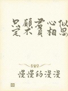 只愿君心似我心定不负相思意对应的句子