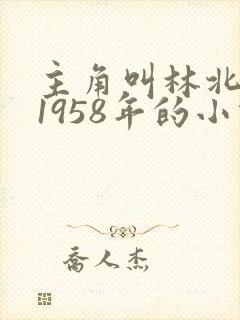主角叫林北重生1958年的小说