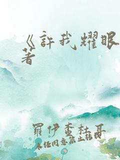 《许我耀眼》原著