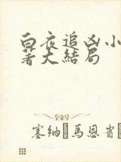 白夜追凶小说原著大结局