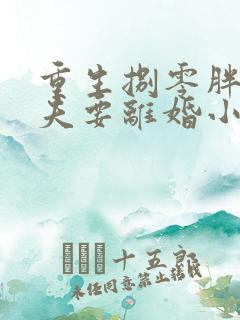 重生捌零胖子丈夫要离婚小说阅读