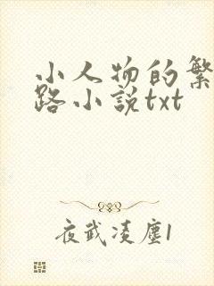 小人物的繁花之路小说txt