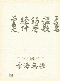 曾经的温柔歌词是什么歌名