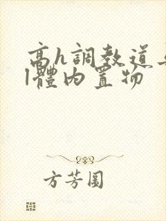 高h调教道具bl体内置物