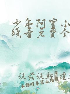 少年阿宾小说在线看免费全文无弹窗