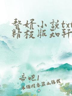 赘婿小说txt精校版知轩