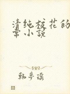 清纯校花的被日常小说