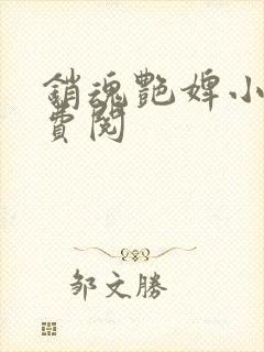 销魂艳婢小说免费阅