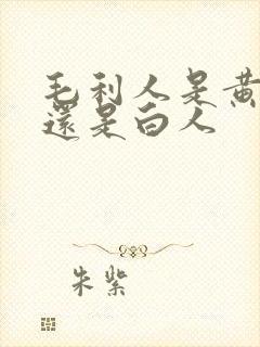 毛利人是黄种人还是白人