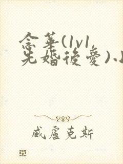 念华(1v1,先婚后爱)小说