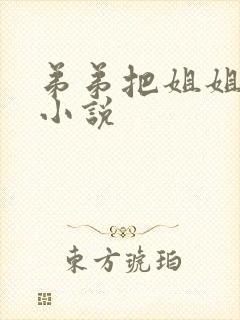 弟弟把姐姐操了小说