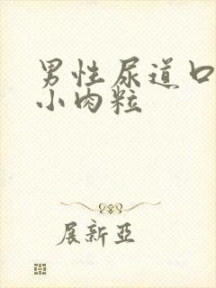 男性尿道口上的小肉粒