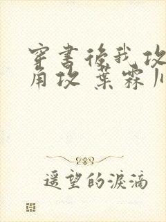 穿书后我攻了主角攻 叶霖川