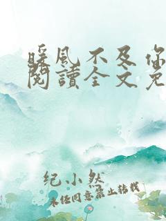 暖风不及你情深阅读全文免费