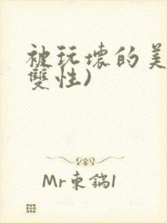 被玩坏的美人(双性)