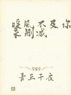 暖风不及你情深未删减