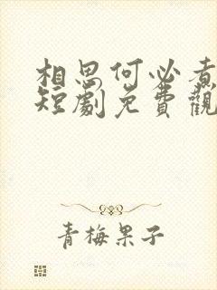 相思何必煮余年短剧免费观看