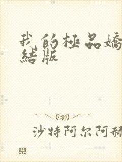 我的极品娇妻完结版