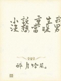 小说 重生我真没想当暖男