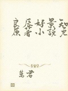 良辰好景知几何原著小说免费阅读