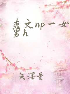 爽文np一女多男h