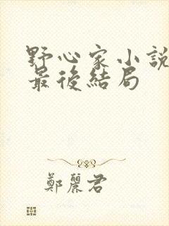 野心家小说原著最后结局