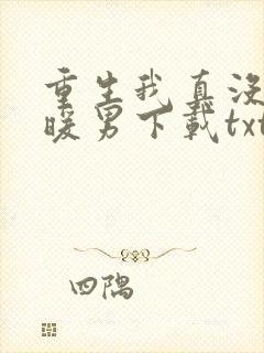 重生我真没想当暖男下载txt