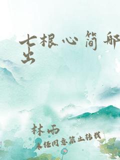 七根心简哪台播出