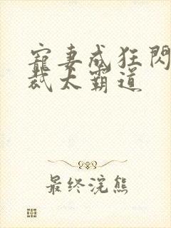 宠妻成狂闪婚总裁太霸道