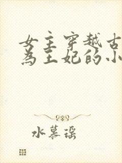 女主穿越古代成为王妃的小说