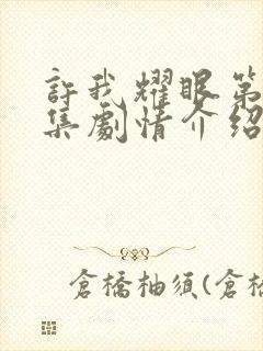 许我耀眼第29集剧情介绍