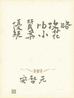 优质rb攻略系统案小花