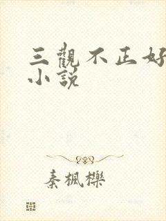 三观不正好看的小说