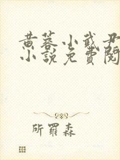 黄蓉小武尹志平小说免费阅读