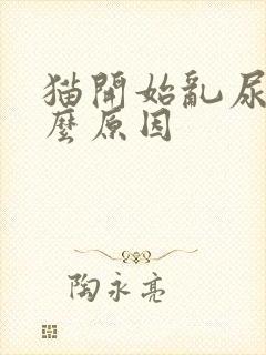 猫开始乱尿是什么原因