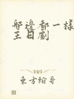 哪边都一样双男主日剧