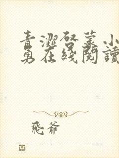 青涩启蒙小说张勇在线阅读全文