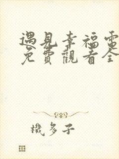 遇见幸福电视剧免费观看全集剧情