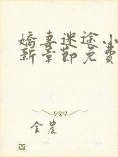 娇妻迷途小说最新章节免费阅读