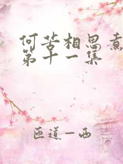 何苦相思煮余年第十一集