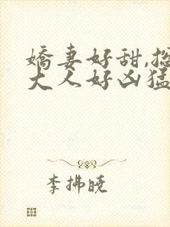 娇妻好甜,总裁大人好凶猛苏南风