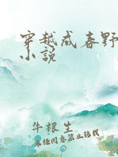 穿越成春野樱的小说